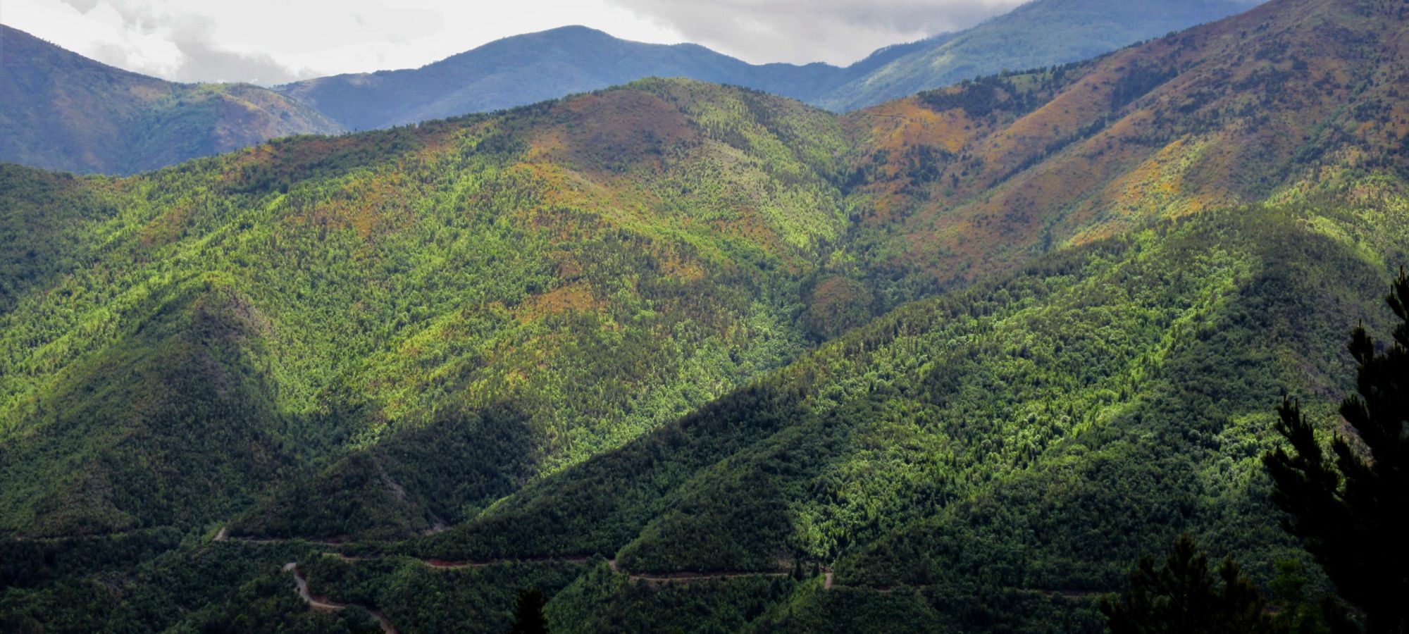 Photos from our Albania - North to South Cycling Holiday
